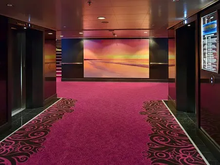 Carpet-Cleaners--in-Madison-Wisconsin-carpet-cleaners-madison-wisconsin.jpg-image