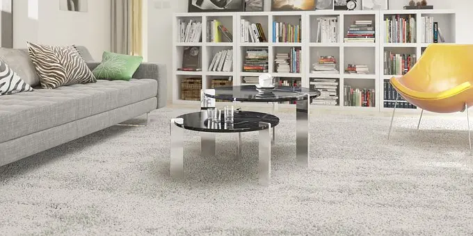 Carpet-Cleaning--in-Pittsburgh-Pennsylvania-carpet-cleaning-pittsburgh-pennsylvania.jpg-image